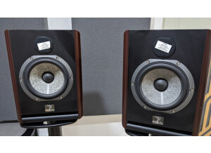 Focal Solo6 Be (13659)