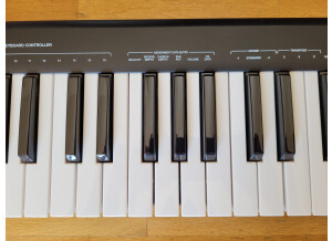 Alesis Q49 (7662)