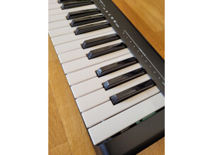 Alesis Q49 (27848)