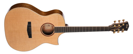 littleforestangel littleforestangel