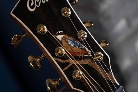 littleforestangel littleforestangel