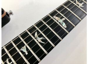 PRS Custom 24 Artist Package (84442)