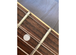 450C659D-7C5E-4313-B280-2168C303E423