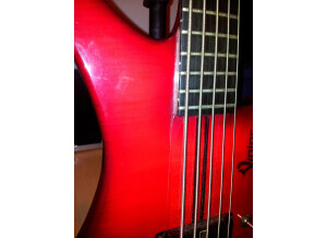 Vigier Passion 5 cordes