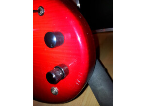 Vigier Passion 5 cordes