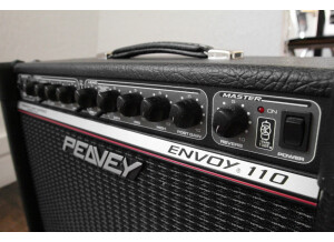 Peavey [TransTube Series - Discontinued] Envoy 110 II