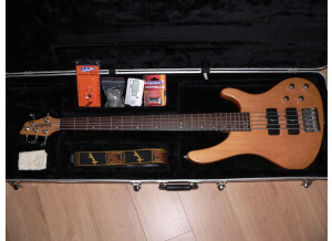 Washburn XB 500