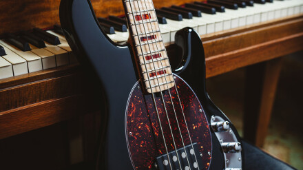 EBMMshortstingray EBMMshortstingray