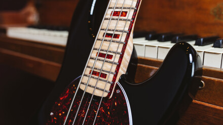 EBMMstingrayshort EBMMstingrayshort