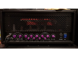 BD Custom Amplification BF/CUSTOM+ (74863)