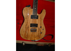 Fender Special Edition Custom Spalted Maple Tele