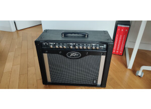 peavey-envoy-110-3641549