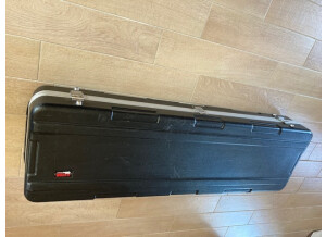 Gator Cases GK-76 (33931)