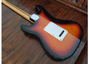 Fender Standard Stratocaster [1990-2005] (96982)