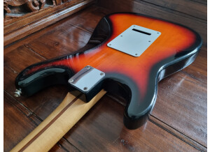 Fender Standard Stratocaster [1990-2005] (14613)
