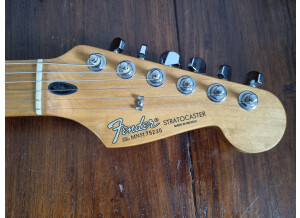 Fender Standard Stratocaster [1990-2005] (22419)