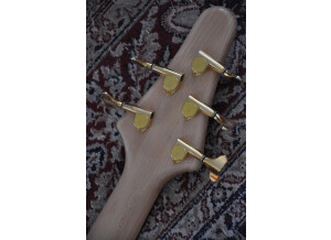 Tune Guitar Technology TWB5 (17690)