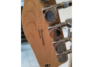 Fender Special Edition Lite Ash Telecaster (85688)