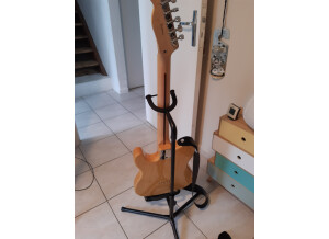 Fender Special Edition Lite Ash Telecaster (41110)