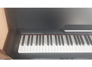 Thomann DP-33 (95501)