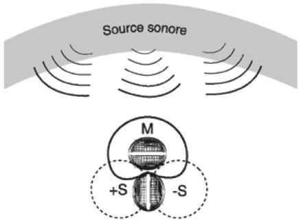 Microphones : MS Microphones : MS