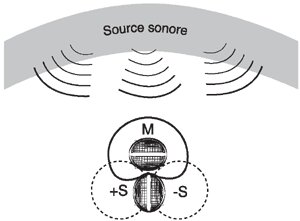 Microphones : MS Microphones : MS