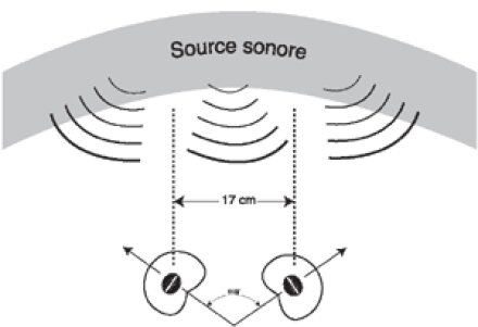 Microphones : ORTF Microphones : ORTF