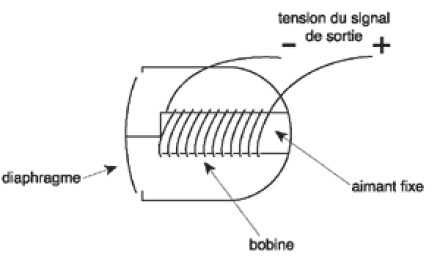 microsdynamiques