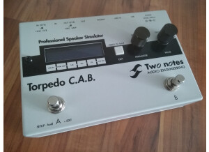 Two Notes Audio Engineering Torpedo C.A.B. (Cabinets in A Box) (44760)