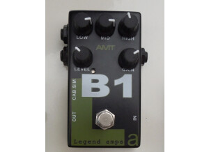 Amt Electronics [Legend Amp Series] B1 Bogner