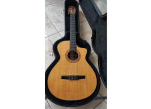 Taylor NS42CE (18631)