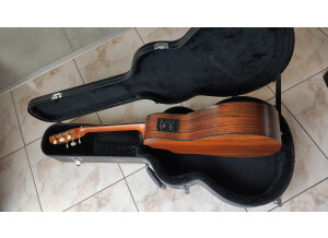 Taylor NS42CE (44375)