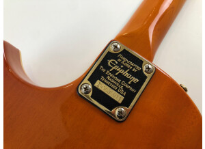 Epiphone Nighthawk Standard 3 (40373)