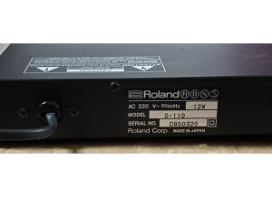 Roland D-110 (24252)