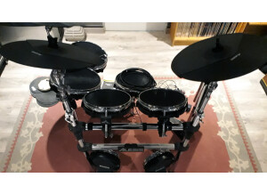 Alesis DM10 Pro Kit