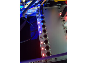 Doepfer A-160-2 Clock/Trigger Divider II (63945)