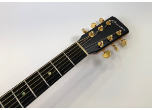 Guitares Boucher AVT Mahogany Goose (97595)