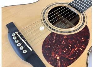 Guitares Boucher AVT Mahogany Goose (79483)