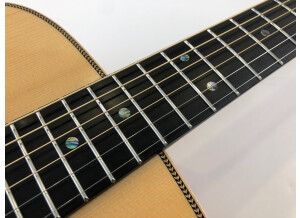Guitares Boucher AVT Mahogany Goose (81571)