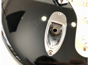 Fender Eric Clapton Stratocaster (42576)