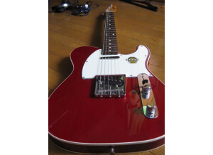 Fender telecaster custom 62 japan