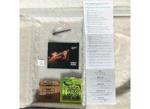 Gibson-N225---00-Certif