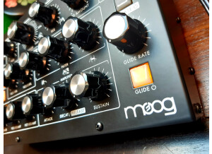 Moog Music Minitaur (87768)