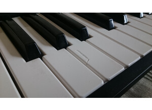 Roland SH-201 (39034)