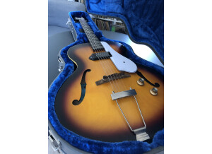 Epiphone Inspired by "1966" Century Archtop (3384)