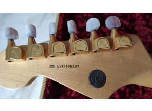 Fender 60th Anniversary Standard Stratocaster (2006) (79672)
