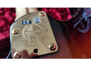 Fender 60th Anniversary Standard Stratocaster (2006) (98202)