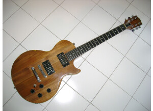 Gibson The Paul (39468)