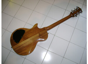 Gibson The Paul (97938)