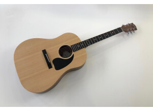 Gibson G-45 (54001)